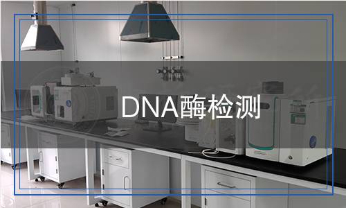 DNA酶檢測(cè) DNA酶檢測(cè)