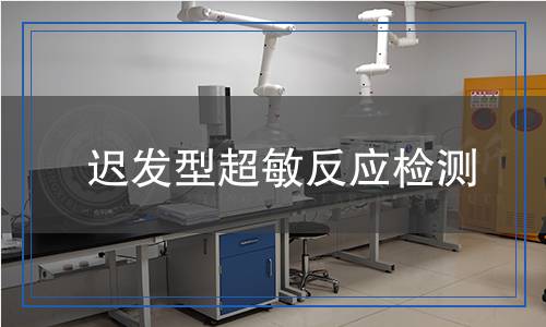 遲發(fā)型超敏反應(yīng)檢測(cè)