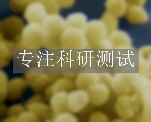 抗菌檢測報(bào)告