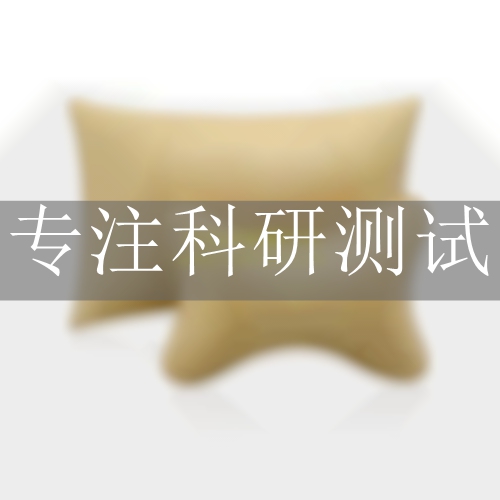 頭枕性能試驗(yàn)