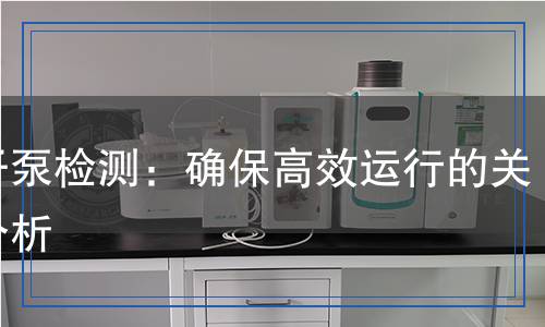 轉(zhuǎn)子泵檢測：確保高效運行的關(guān)鍵分析