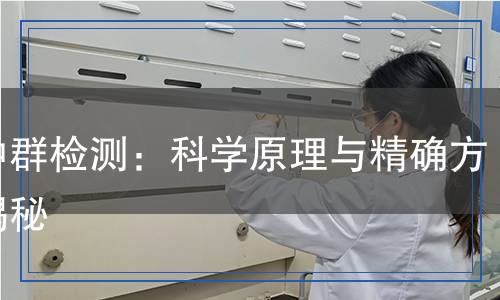 脈沖群檢測：科學(xué)原理與精確方法揭秘