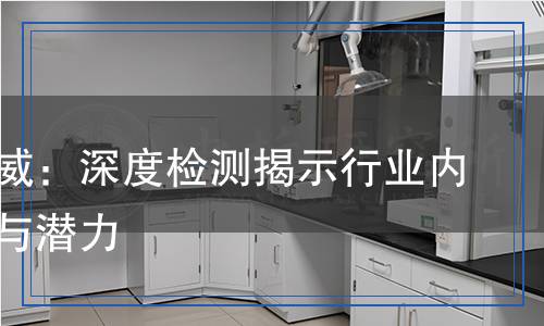 牛皮權威：深度檢測揭示行業(yè)內(nèi)的真相與潛力