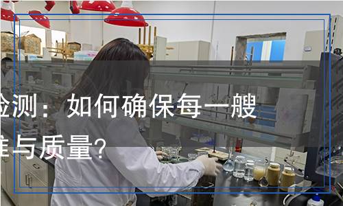 艦船模型檢測(cè)：如何確保每一艘模型的精準(zhǔn)與質(zhì)量？