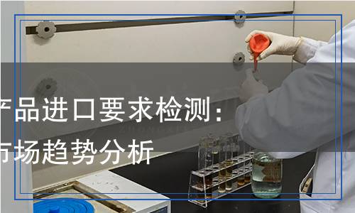 各國對(duì)電子產(chǎn)品進(jìn)口要求檢測：全球標(biāo)準(zhǔn)與市場趨勢(shì)分析