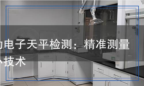 梅特勒電子天平檢測：精準(zhǔn)測量的核心技術(shù)