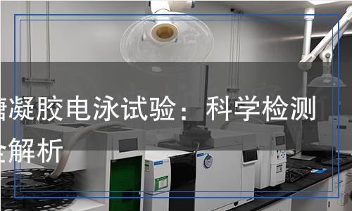 瓊脂糖凝膠電泳試驗：科學檢測方法全解析