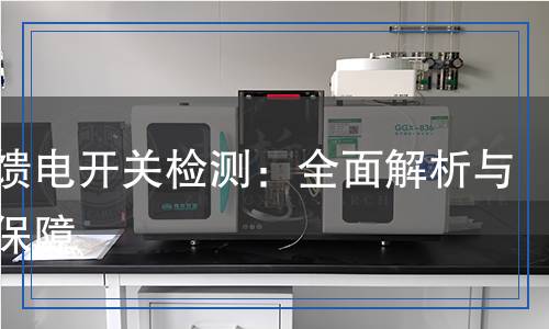 真空饋電開關檢測：全面解析與高效保障