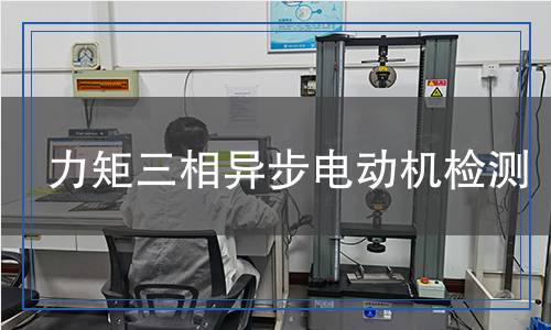 力矩三相異步電動(dòng)機(jī)檢測(cè)