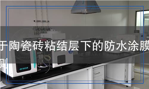 用于陶瓷磚粘結(jié)層下的防水涂膜檢測(cè) 用于陶瓷磚粘結(jié)層下的防水涂膜檢測(cè)