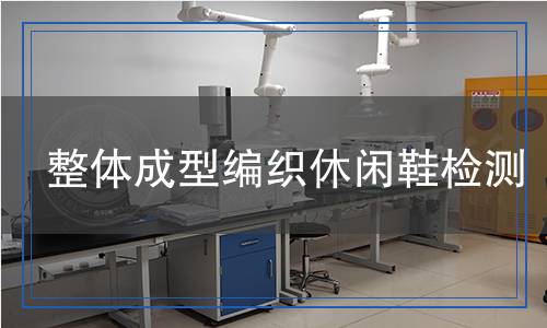 整體成型編織休閑鞋檢測 整體成型編織休閑鞋檢測