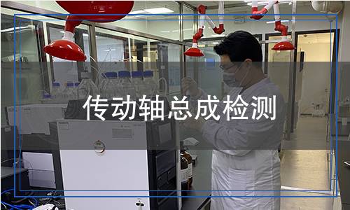 傳動軸總成檢測 傳動軸總成檢測