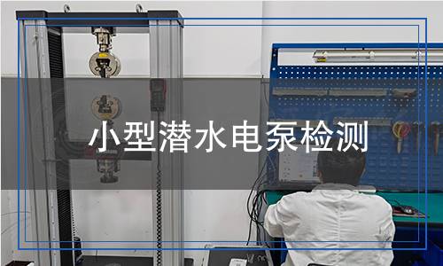 小型潛水電泵檢測(cè)