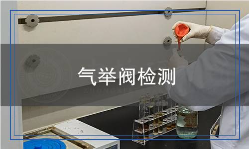 氣舉閥檢測 氣舉閥檢測