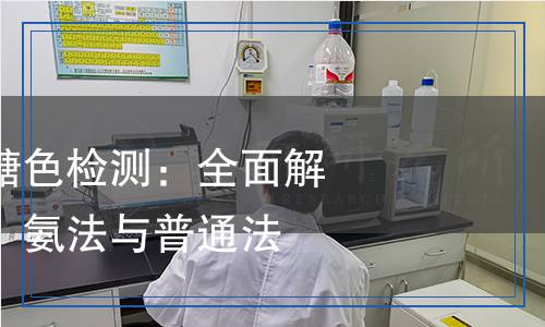 食品添加劑焦糖色檢測：全面解析亞硫酸銨法、氨法與普通法