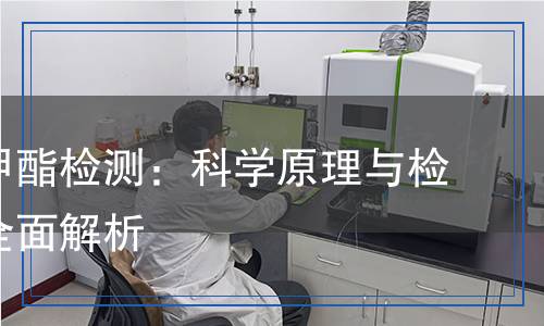 亞硝酸甲酯檢測,亞硝酸甲酯檢測報(bào)告