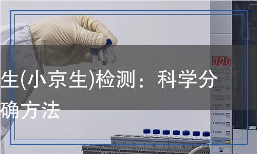 新昌花生(小京生)檢測(cè)：科學(xué)分析與精確方法