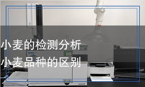 優(yōu)質(zhì)小麥弱筋小麥檢測(cè),優(yōu)質(zhì)小麥弱筋小麥檢測(cè)報(bào)告