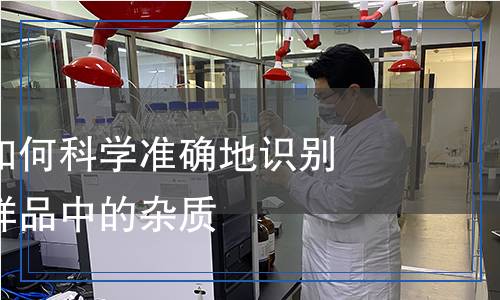 雜質(zhì)檢測,雜質(zhì)檢測報告