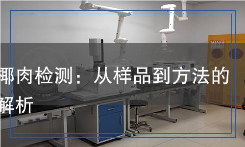 糖漬椰肉檢測：從樣品到方法的科學(xué)解析