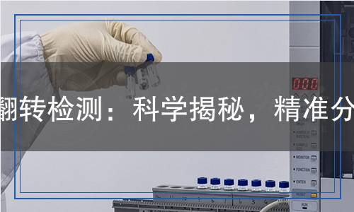 翻轉(zhuǎn)檢測,翻轉(zhuǎn)檢測報告