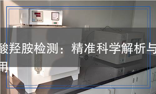 鹽酸羥胺檢測(cè),鹽酸羥胺檢測(cè)報(bào)告