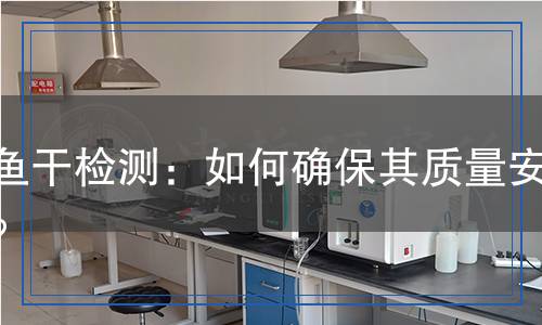 魷魚干檢測(cè)：如何確保其質(zhì)量安全？
