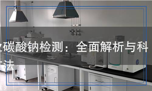 工業(yè)碳酸鈉檢測：全面解析與科學方法