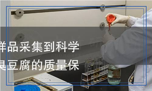 臭豆腐檢測(cè)：從樣品采集到科學(xué)分析，全面揭秘臭豆腐的質(zhì)量保障