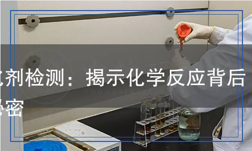 催化劑檢測：揭示化學(xué)反應(yīng)背后的秘密