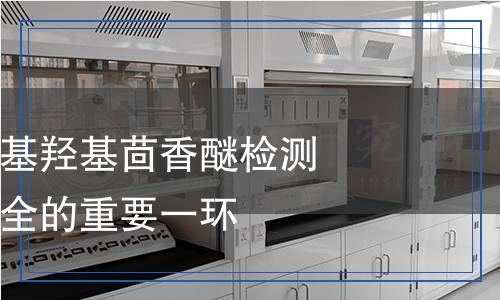 食品添加劑丁基羥基茴香醚檢測：保障食品安全的重要一環(huán)