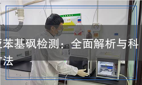 聚亞苯基砜檢測(cè)：全面解析與科學(xué)方法