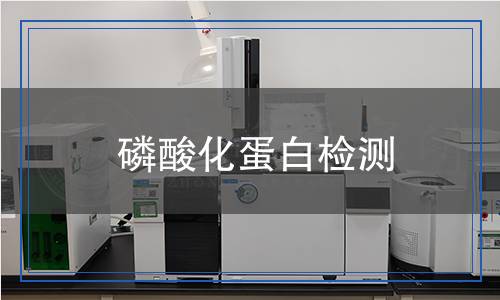 磷酸化蛋白檢測