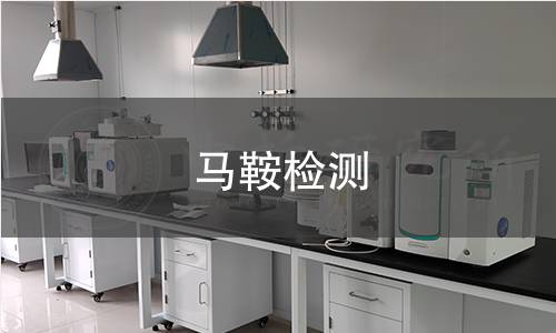 馬鞍檢測 馬鞍檢測