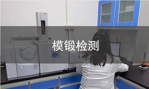模鍛檢測 模鍛檢測