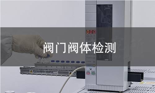 閥門閥體檢測(cè) 閥門閥體檢測(cè)