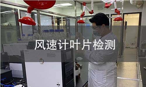 風(fēng)速計(jì)葉片檢測(cè) 風(fēng)速計(jì)葉片檢測(cè)