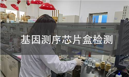 基因測序芯片盒檢測