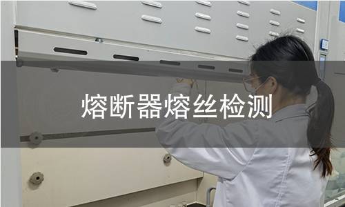 熔斷器熔絲檢測 熔斷器熔絲檢測