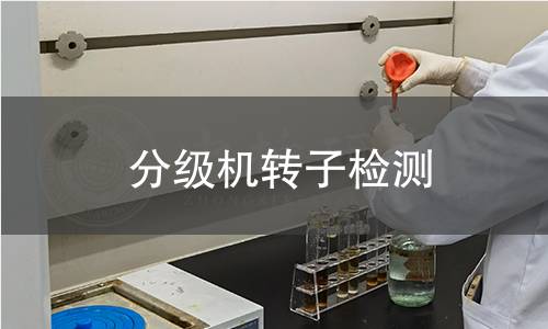 分級機轉(zhuǎn)子檢測