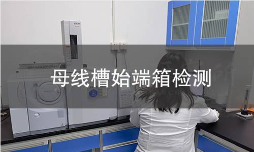 母線槽始端箱檢測