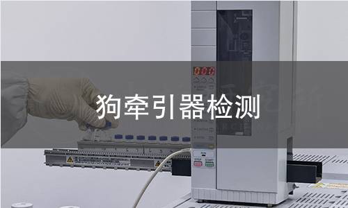 狗牽引器檢測 狗牽引器檢測