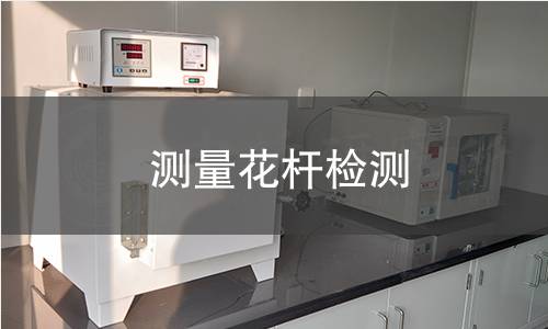 測量花桿檢測 測量花桿檢測