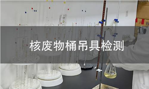 核廢物桶吊具檢測