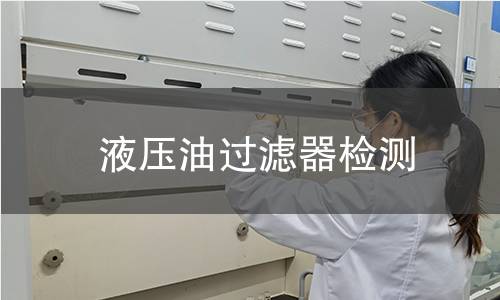 液壓油過濾器檢測(cè) 液壓油過濾器檢測(cè)