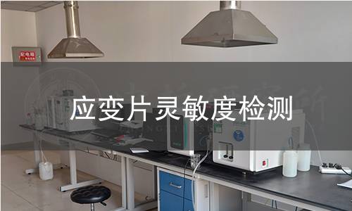 應(yīng)變片靈敏度檢測(cè)
