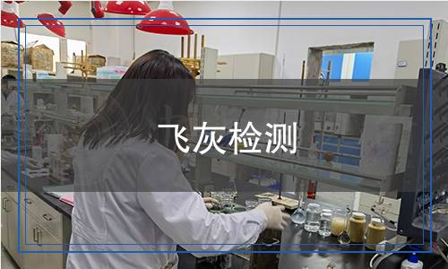 飛灰檢測 飛灰檢測
