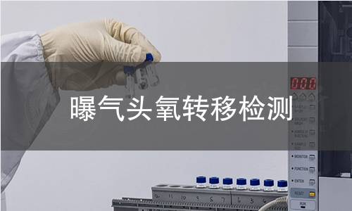 曝氣頭氧轉(zhuǎn)移檢測