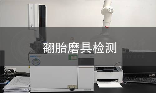 翻胎磨具檢測(cè)