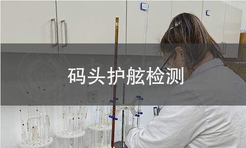 碼頭護(hù)舷檢測(cè)